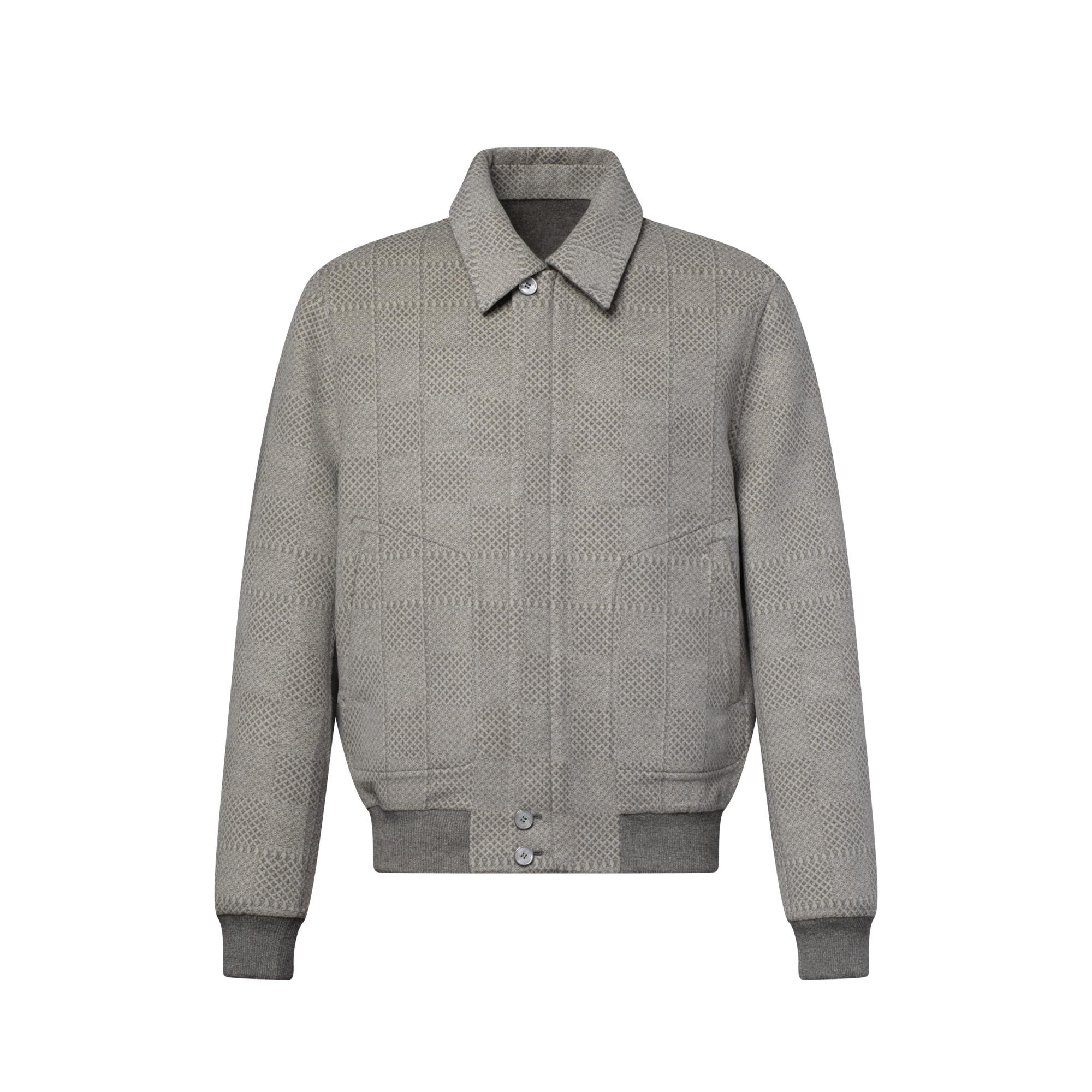 Damier Reversible Double Face Blouson - For Men | LOUIS VUITTON
